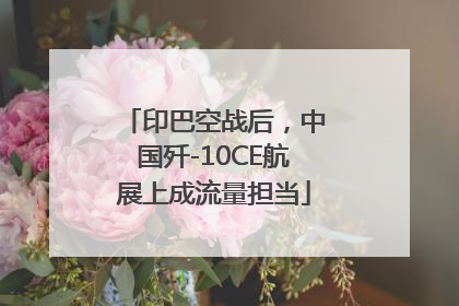 印巴空战后，中国歼-10CE航展上成流量担当