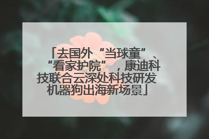去国外“当球童”、“看家护院”，康迪科技联合云深处科技研发机器狗出海新场景