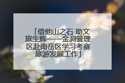 借他山之石 助文旅生辉——金洞管理区赴南岳区学习考察旅游发展工作