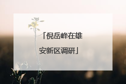 倪岳峰在雄安新区调研