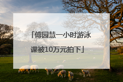 傅园慧一小时游泳课被10万元拍下