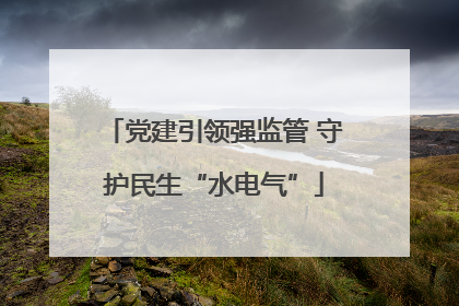 党建引领强监管 守护民生“水电气”