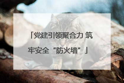 党建引领聚合力 筑牢安全“防火墙”
