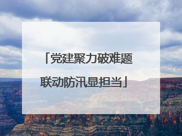党建聚力破难题 联动防汛显担当
