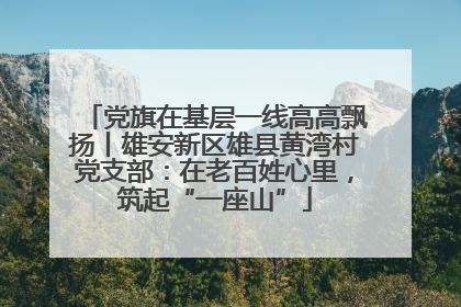 党旗在基层一线高高飘扬丨雄安新区雄县黄湾村党支部：在老百姓心里，筑起“一座山”