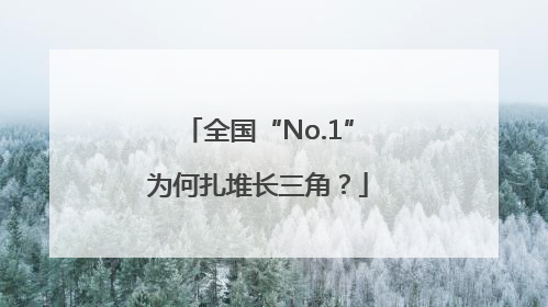 全国“No.1”为何扎堆长三角？