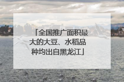 全国推广面积最大的大豆、水稻品种均出自黑龙江