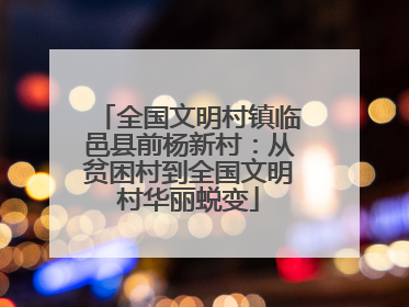 全国文明村镇临邑县前杨新村：从贫困村到全国文明村华丽蜕变