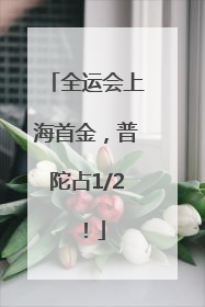 全运会上海首金，普陀占1/2！