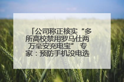 公司称正核实“多所高校禁用罗马仕两万毫安充电宝” 专家：预防手机没电选中等体积产品即可