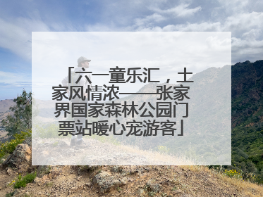 六一童乐汇，土家风情浓——张家界国家森林公园门票站暖心宠游客