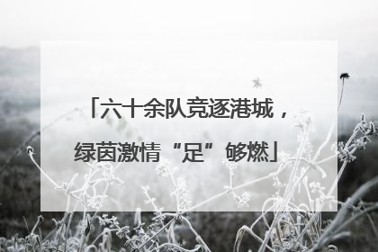 六十余队竞逐港城，绿茵激情“足”够燃