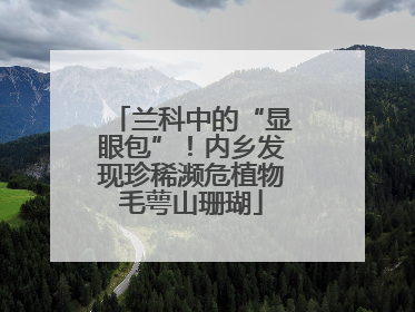 兰科中的“显眼包”！内乡发现珍稀濒危植物毛萼山珊瑚