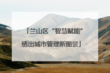 兰山区“智慧赋能”绣出城市管理新图景