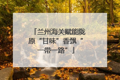 兰州海关赋能陇原“甘味”香飘“一带一路”