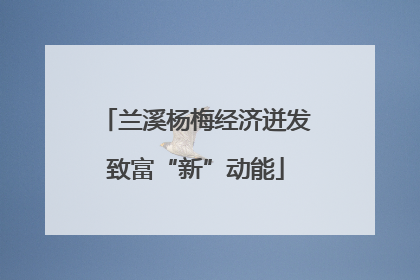 兰溪杨梅经济迸发致富“新”动能