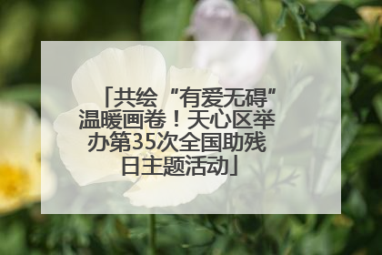 共绘“有爱无碍”温暖画卷！天心区举办第35次全国助残日主题活动