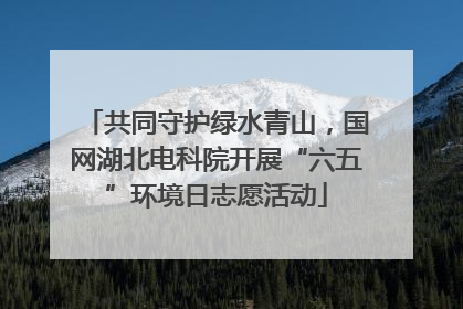 共同守护绿水青山，国网湖北电科院开展“六五”环境日志愿活动