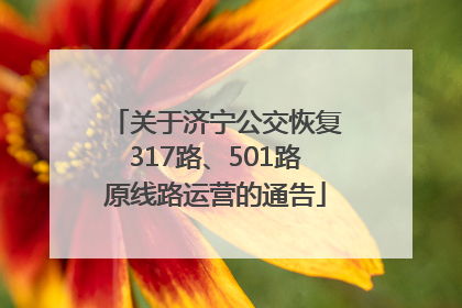 关于济宁公交恢复317路、501路原线路运营的通告