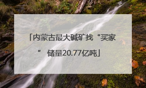 内蒙古最大碱矿找“买家” 储量20.77亿吨