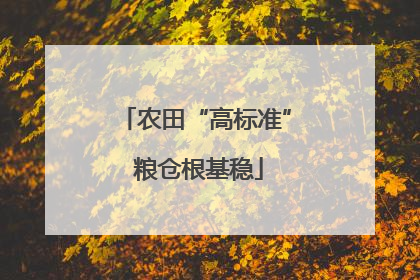 农田“高标准” 粮仓根基稳