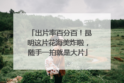 出片率百分百！昆明这片花海美炸啦，随手一拍就是大片