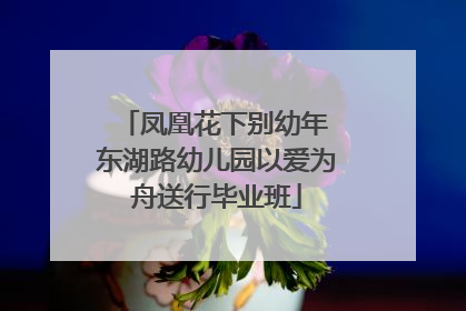 凤凰花下别幼年 东湖路幼儿园以爱为舟送行毕业班