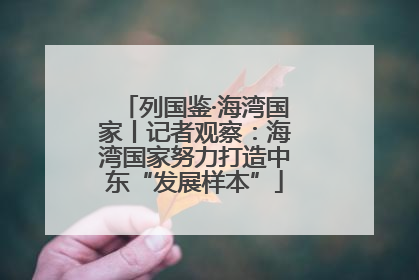 列国鉴·海湾国家丨记者观察：海湾国家努力打造中东“发展样本”