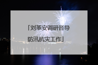 刘革安调研督导防汛抗灾工作