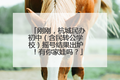 刚刚，杭城民办初中（含民转公学校）摇号结果出炉！有你家娃吗？