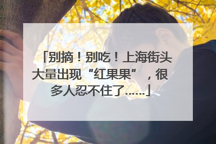 别摘！别吃！上海街头大量出现“红果果”，很多人忍不住了……