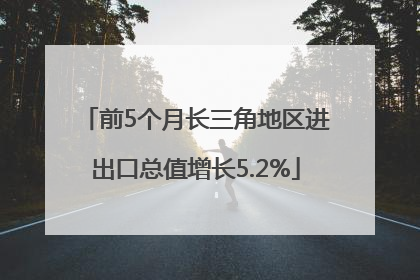 前5个月长三角地区进出口总值增长5.2%