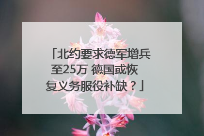 北约要求德军增兵至25万 德国或恢复义务服役补缺？