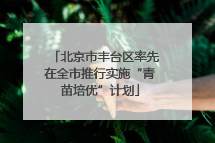 北京市丰台区率先在全市推行实施“青苗培优”计划