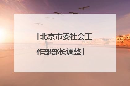 北京市委社会工作部部长调整