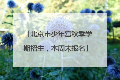 北京市少年宫秋季学期招生，本周末报名