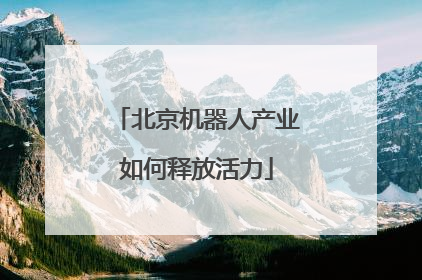 北京机器人产业如何释放活力