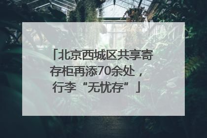 北京西城区共享寄存柜再添70余处，行李“无忧存”