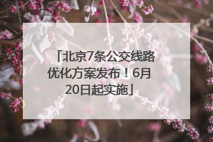 北京7条公交线路优化方案发布！6月20日起实施