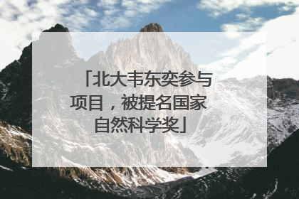 北大韦东奕参与项目，被提名国家自然科学奖
