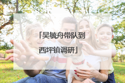 吴毓舟带队到西坪镇调研