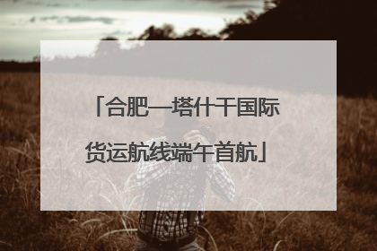 合肥—塔什干国际货运航线端午首航