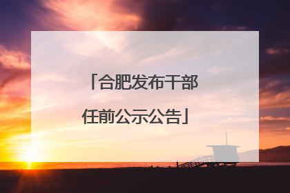 合肥发布干部任前公示公告