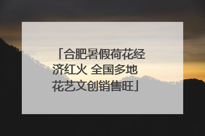 合肥暑假荷花经济红火 全国多地花艺文创销售旺
