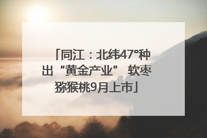 同江：北纬47°种出“黄金产业” 软枣猕猴桃9月上市