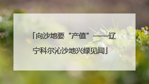 向沙地要“产值”——辽宁科尔沁沙地兴绿见闻
