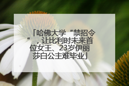 哈佛大学“禁招令”，让比利时未来首位女王、23岁伊丽莎白公主难毕业