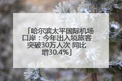 哈尔滨太平国际机场口岸：今年出入境旅客突破30万人次 同比增30.4%