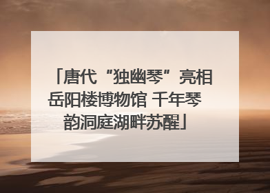唐代“独幽琴”亮相岳阳楼博物馆 千年琴韵洞庭湖畔苏醒