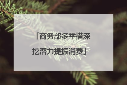 商务部多举措深挖潜力提振消费